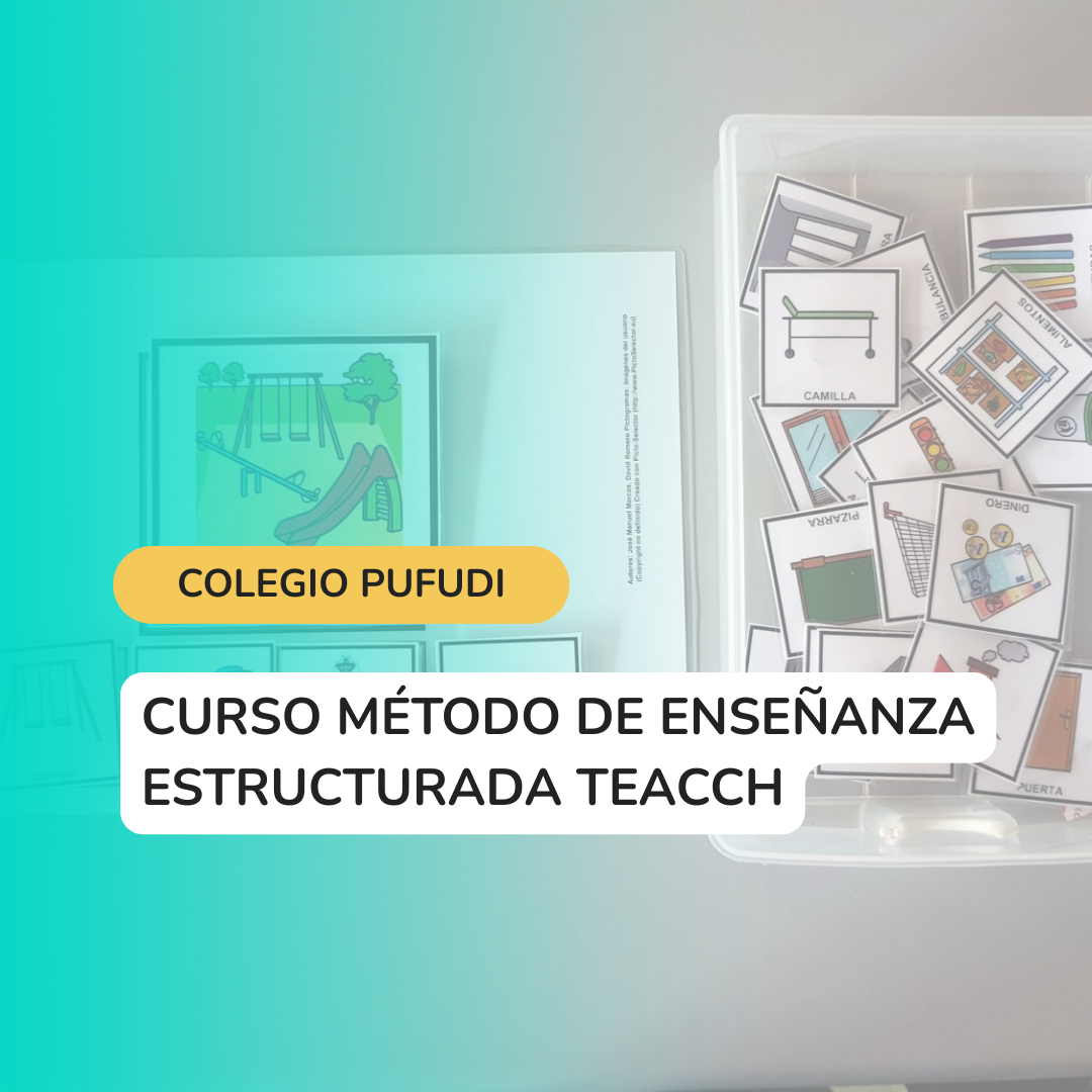 Protegido: Curso TEACCH Colegio Pufudi