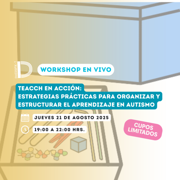 Workshop TEACCH en acción