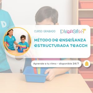 Método de Enseñanza Estucturada TEACCH.